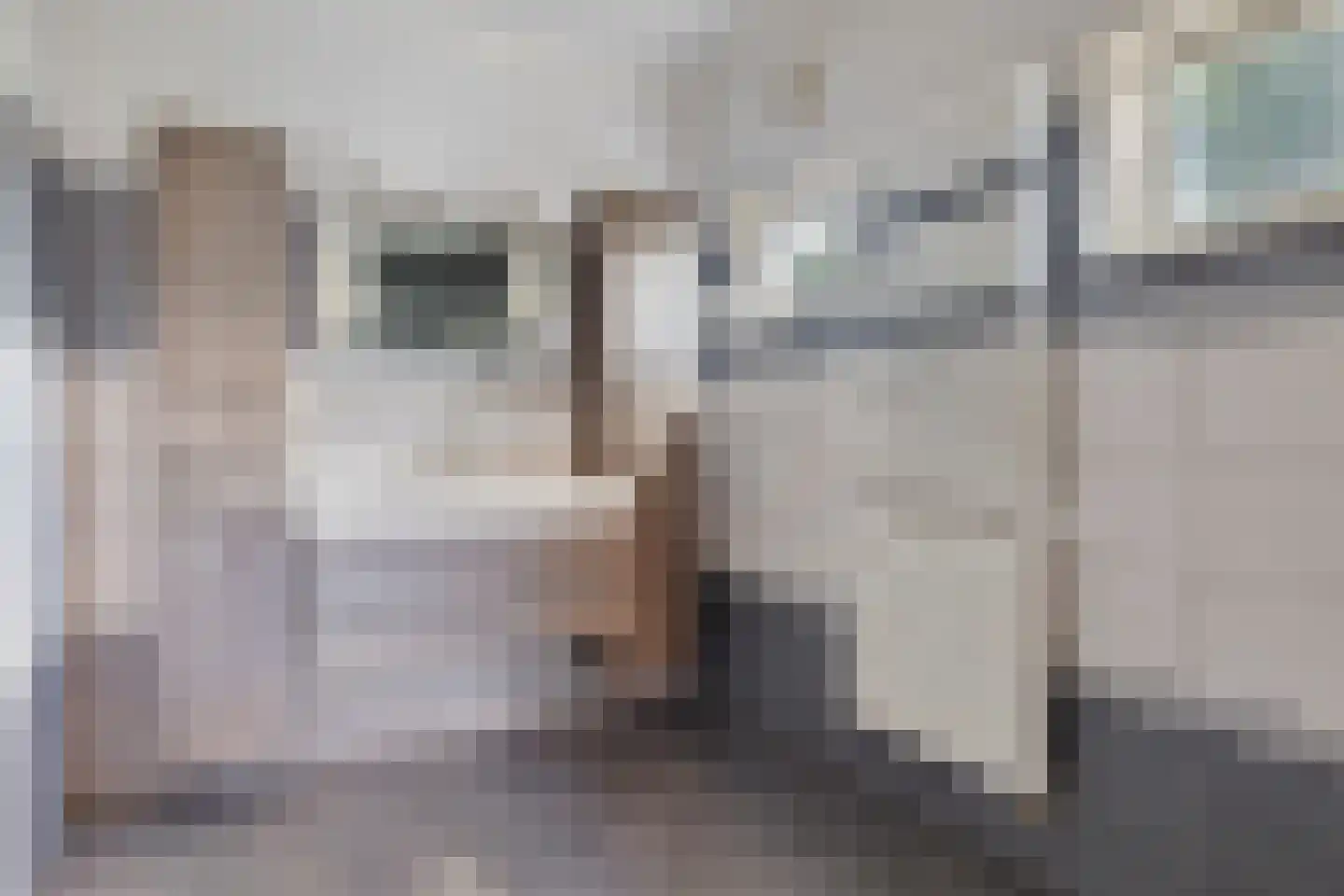 Hoofdweg Noord 1 Zuiddorpe thumbnail 16