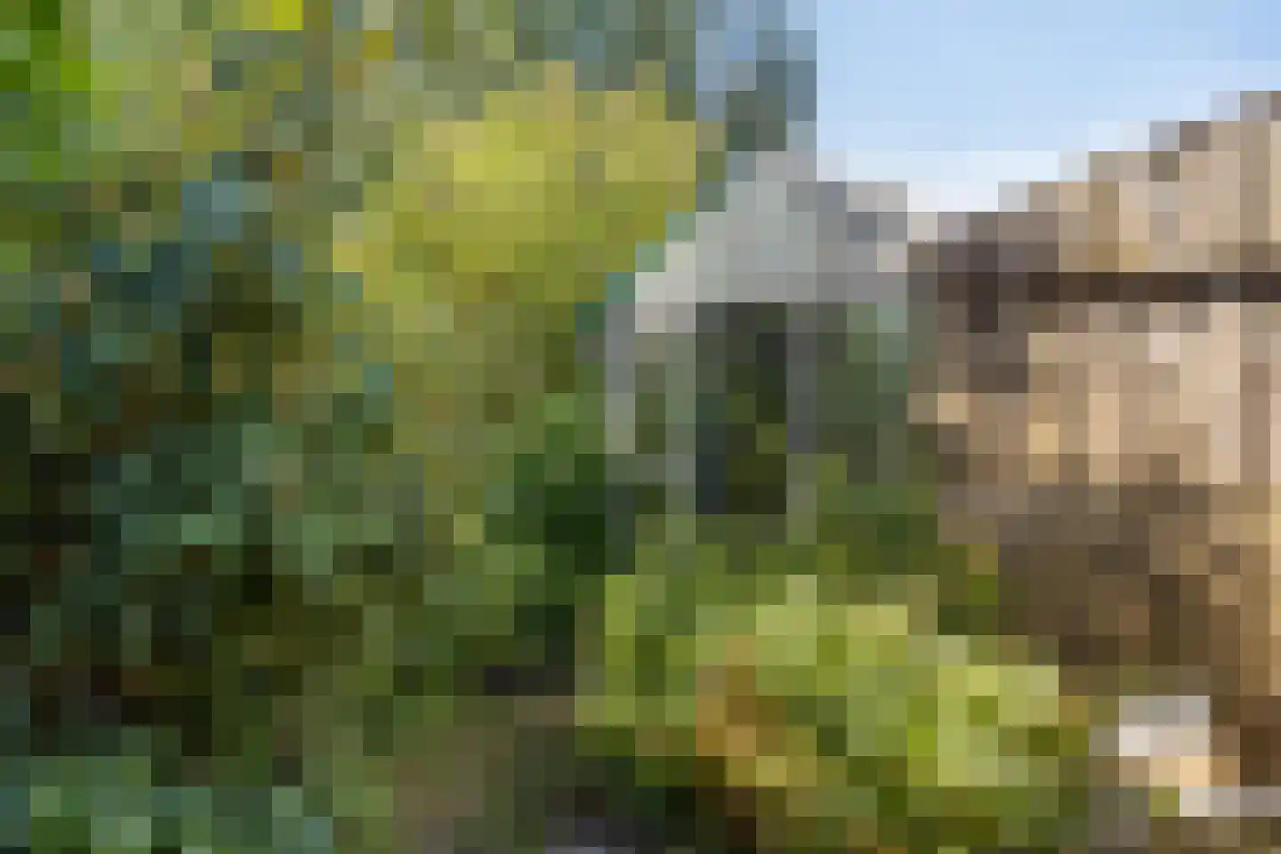 Hoofdweg Noord 1 Zuiddorpe thumbnail 27