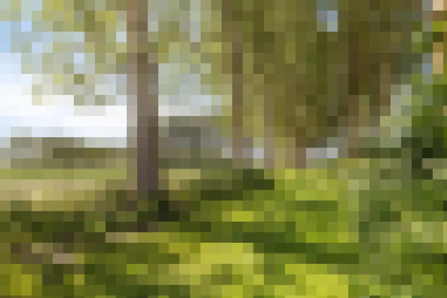 Hoofdweg Noord 1 Zuiddorpe thumbnail 30