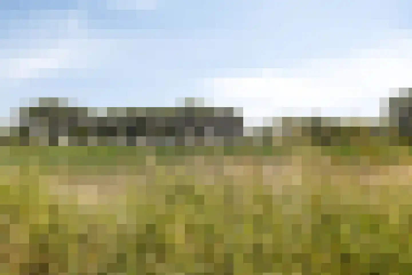 Hoofdweg Noord 1 Zuiddorpe thumbnail 31