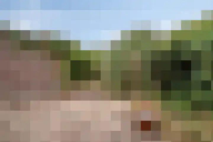 Hoofdweg Noord 14 Zuiddorpe thumbnail 25