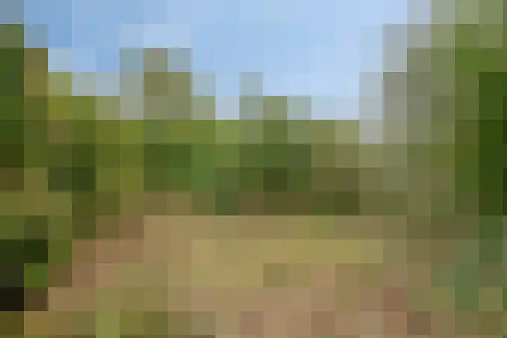 Hoofdweg Noord 14 Zuiddorpe thumbnail 27
