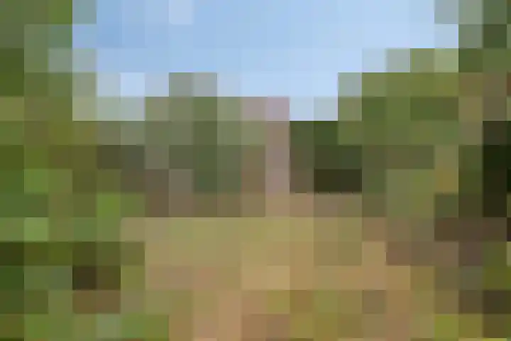 Hoofdweg Noord 14 Zuiddorpe thumbnail 28