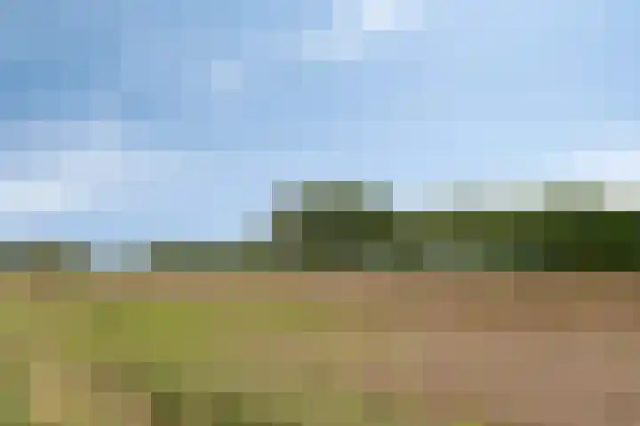 Hoofdweg Noord 14 Zuiddorpe thumbnail 30