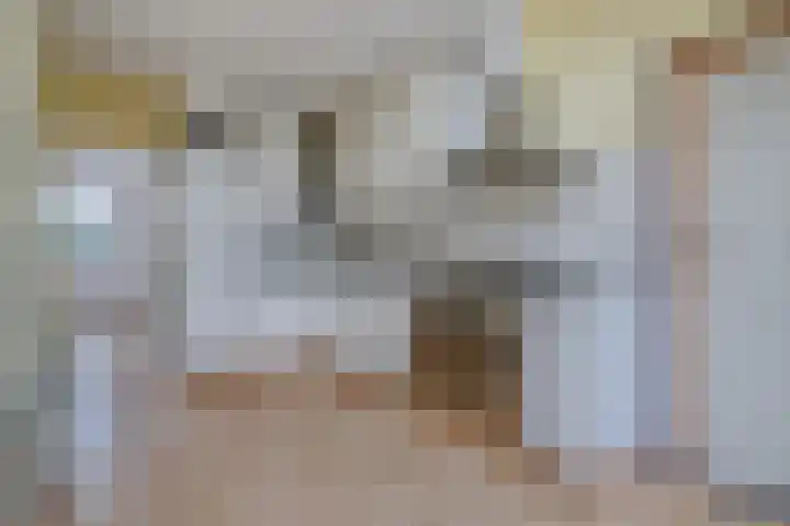 Hoofdweg Noord 14 Zuiddorpe thumbnail 8