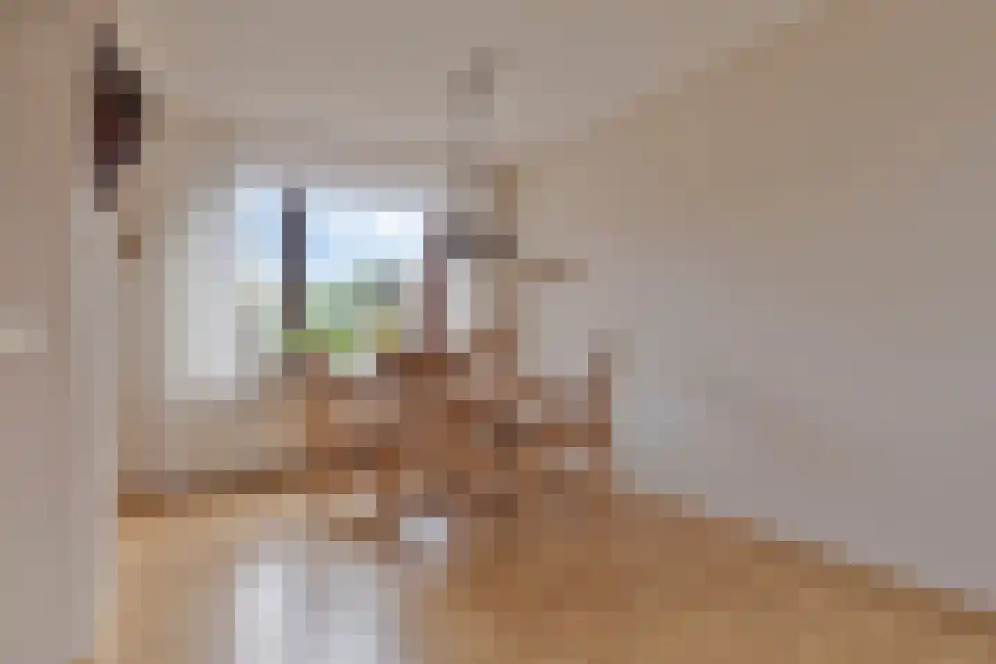 Hoofdweg Noord 41 Zuiddorpe thumbnail 11
