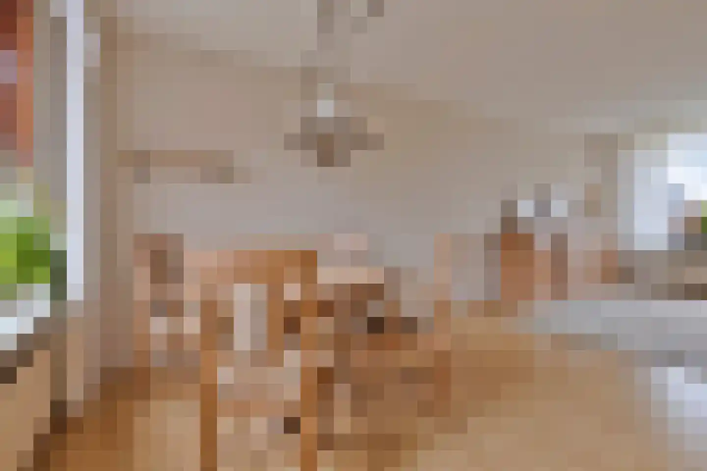 Hoofdweg Noord 41 Zuiddorpe thumbnail 12