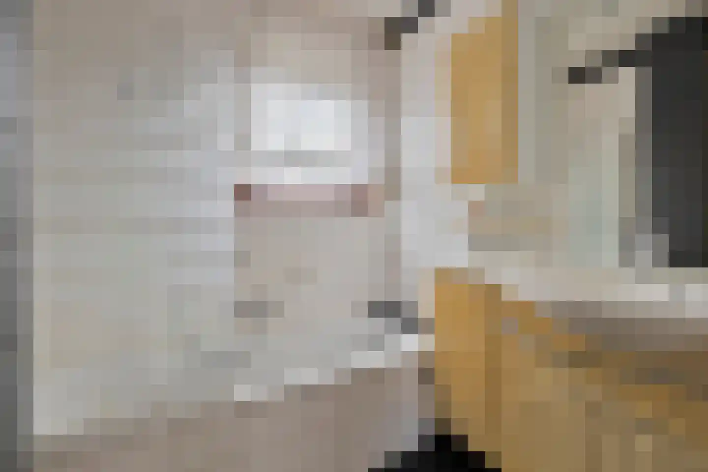 Hoofdweg Noord 41 Zuiddorpe thumbnail 22