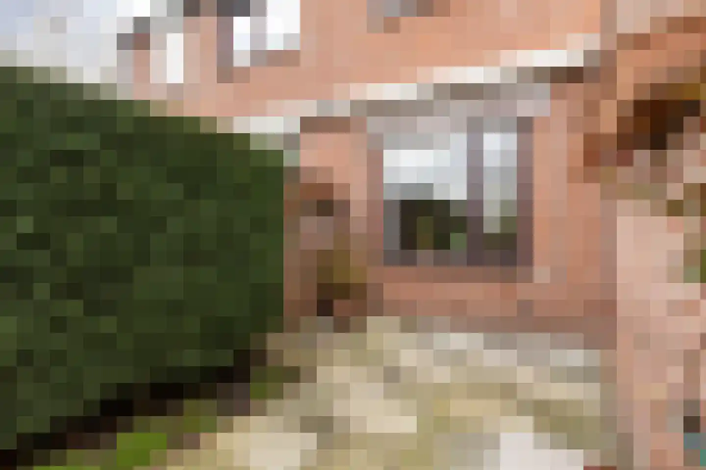 Hoofdweg Noord 41 Zuiddorpe thumbnail 28