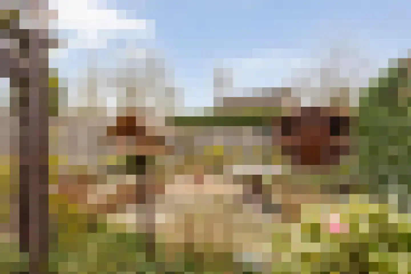 Hoofdweg Noord 41 Zuiddorpe thumbnail 29
