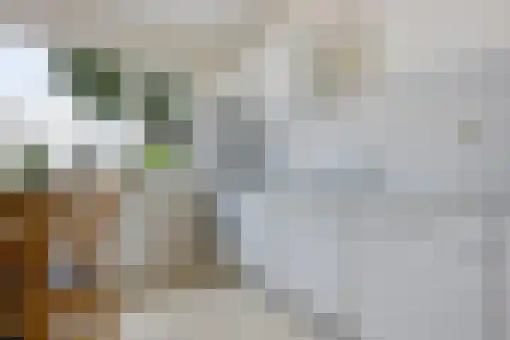 Hoofdweg Oost 31 Nieuwolda thumbnail 23