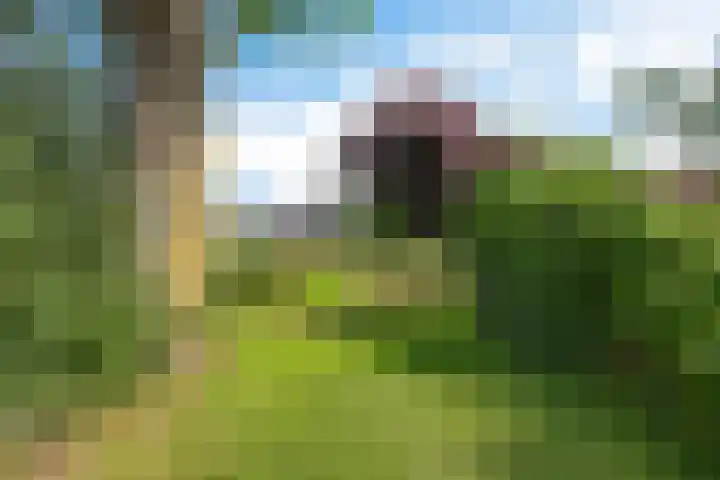 Hoofdweg Oost 31 Nieuwolda thumbnail 41