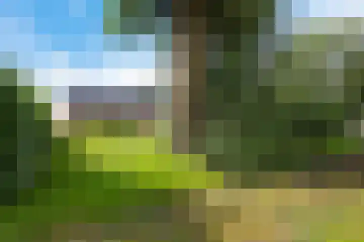 Hoofdweg Oost 31 Nieuwolda thumbnail 42