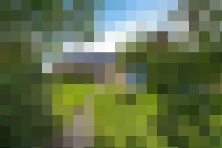 Hoofdweg Oost 31 Nieuwolda thumbnail 43