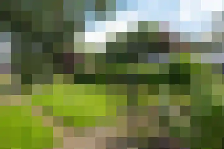 Hoofdweg Oost 31 Nieuwolda thumbnail 46
