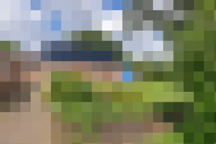Hoofdweg Oost 31 Nieuwolda thumbnail 48