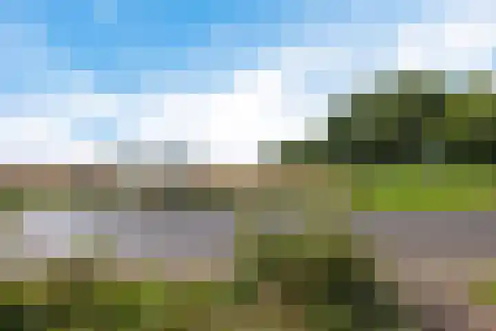 Hoofdweg Oost 31 Nieuwolda thumbnail 50