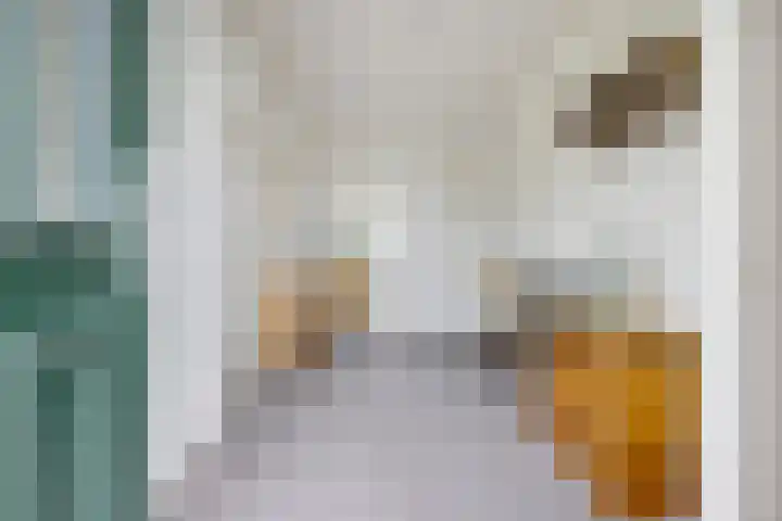 Hoofdweg Oost 31 Nieuwolda thumbnail 7