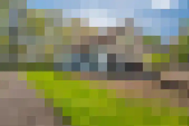 Hoofdweg Wedderveer 19 Wedde thumbnail 11