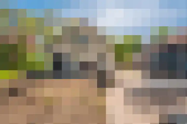 Hoofdweg Wedderveer 19 Wedde thumbnail 12