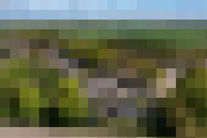 Hoofdweg Wedderveer 19 Wedde thumbnail 17