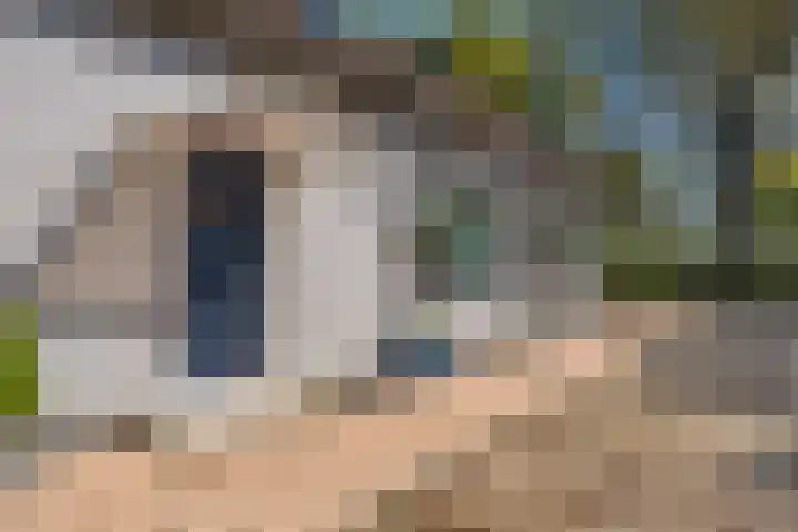 Hoofdweg Wedderveer 19 Wedde thumbnail 18
