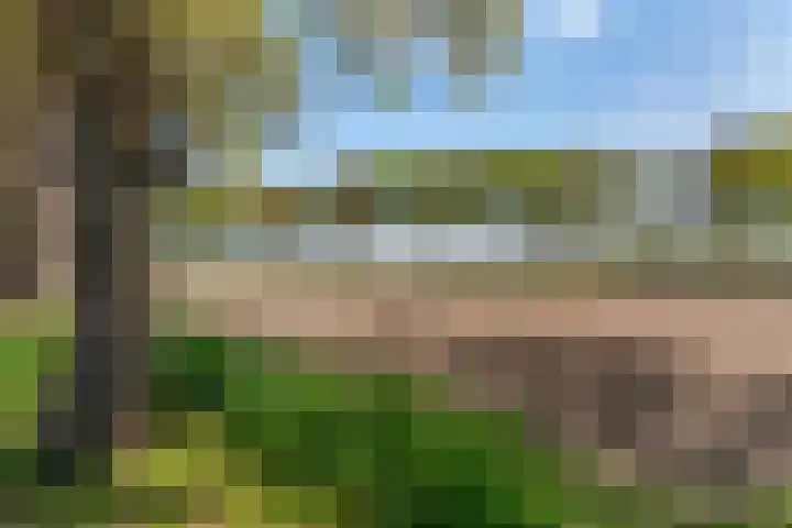 Hoofdweg Wedderveer 19 Wedde thumbnail 5