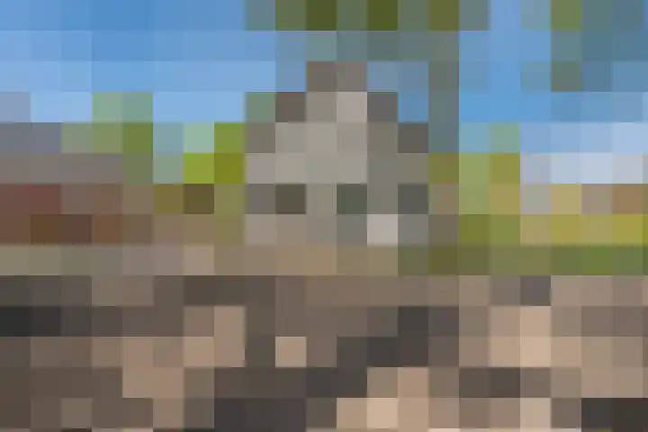 Hoofdweg Wedderveer 19 Wedde thumbnail 6