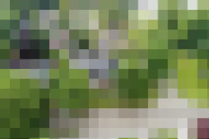 Hoofdweg Wedderveer 20 Wedde thumbnail 10