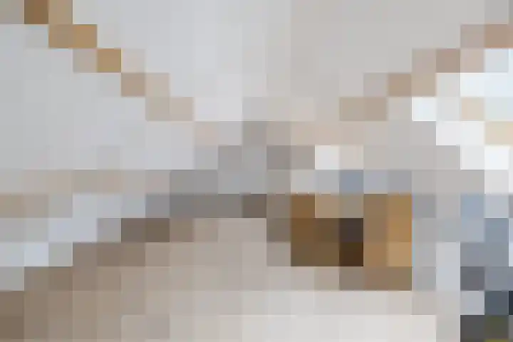 Hoofdweg Wedderveer 20 Wedde thumbnail 100