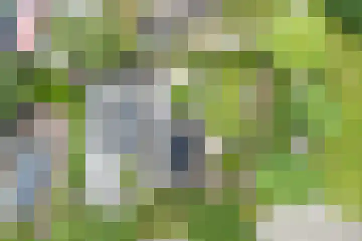Hoofdweg Wedderveer 20 Wedde thumbnail 101