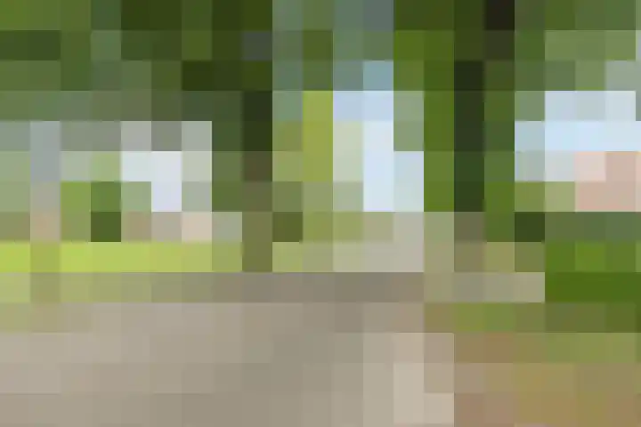 Hoofdweg Wedderveer 20 Wedde thumbnail 107