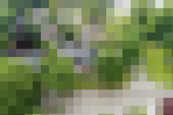 Hoofdweg Wedderveer 20 Wedde thumbnail 115