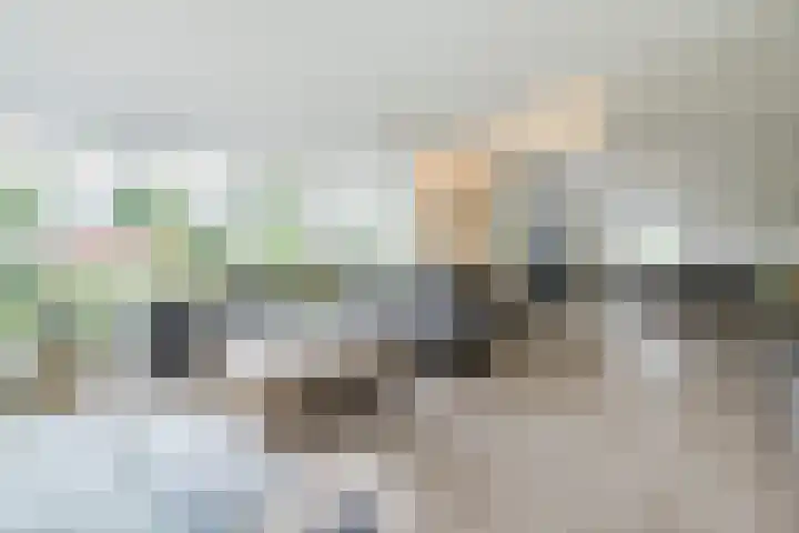 Hoofdweg Wedderveer 20 Wedde thumbnail 13