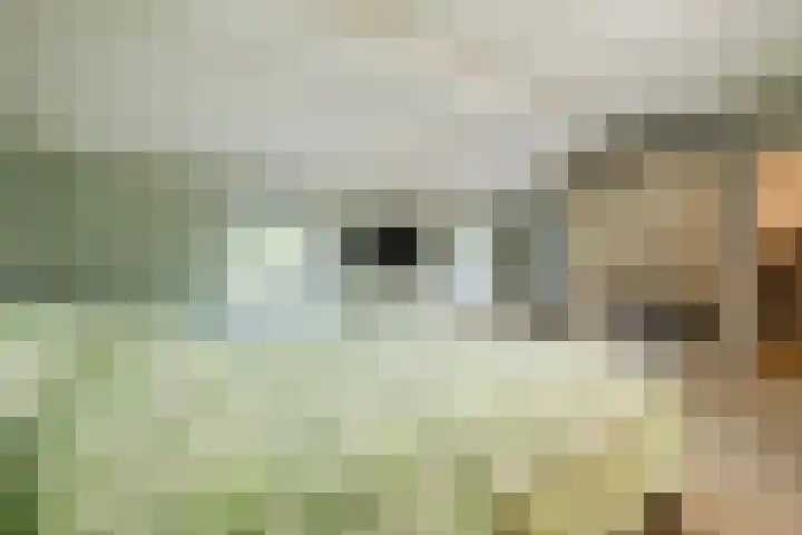 Hoofdweg Wedderveer 20 Wedde thumbnail 40
