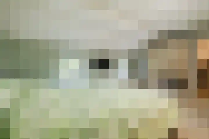 Hoofdweg Wedderveer 20 Wedde thumbnail 55
