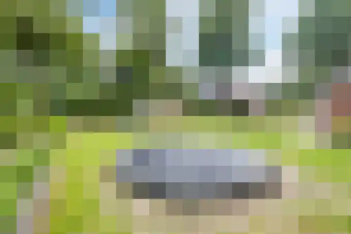 Hoofdweg Wedderveer 20 Wedde thumbnail 93