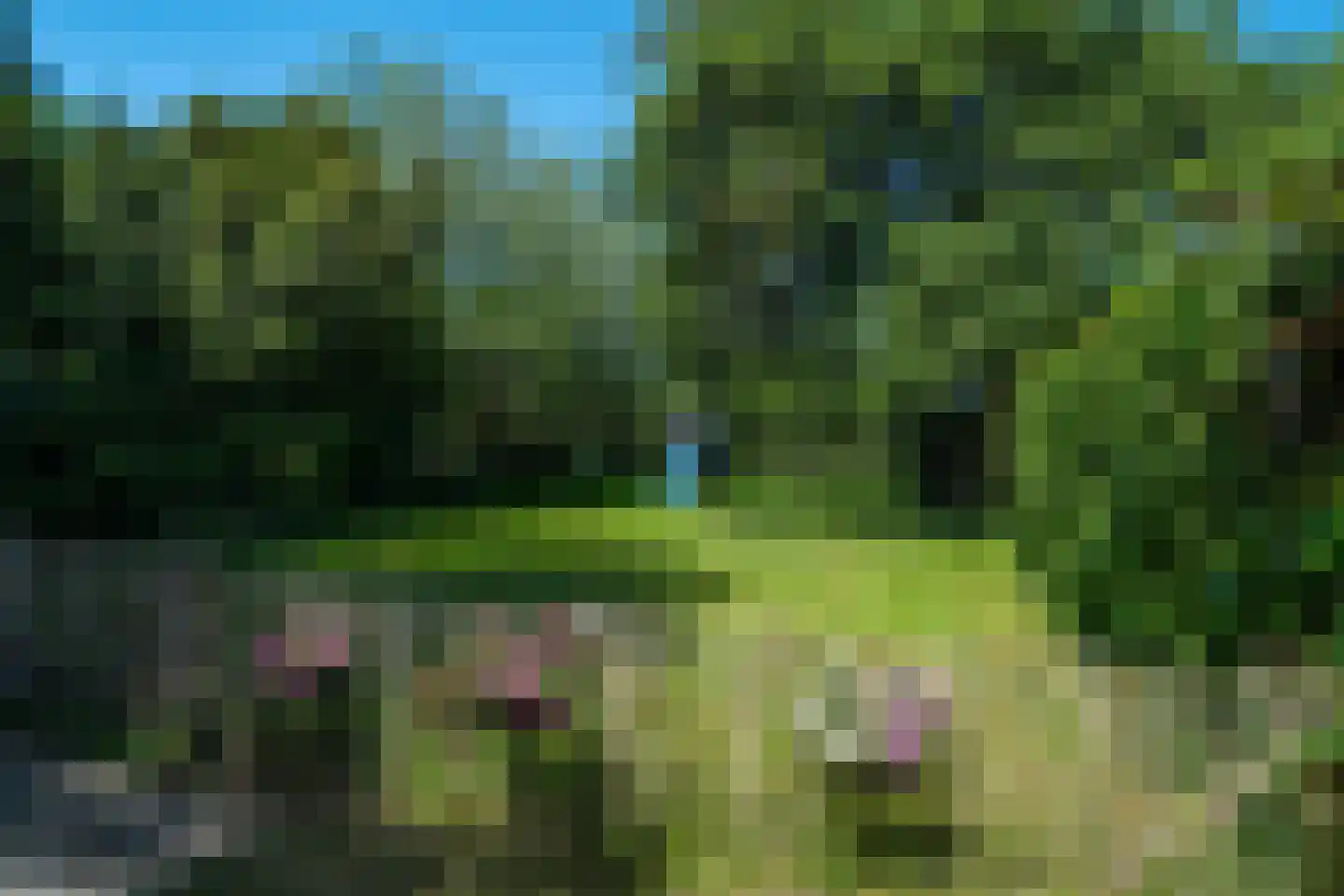 Hoofdweg Wedderveer 33 Wedde thumbnail 111