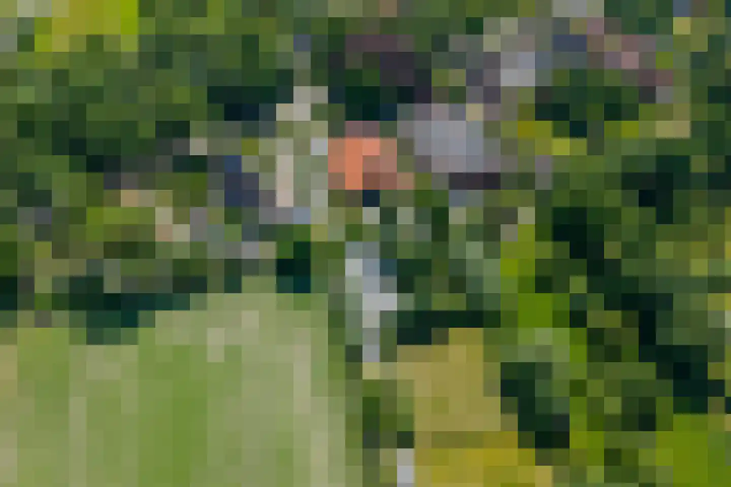 Hoofdweg Wedderveer 33 Wedde thumbnail 128