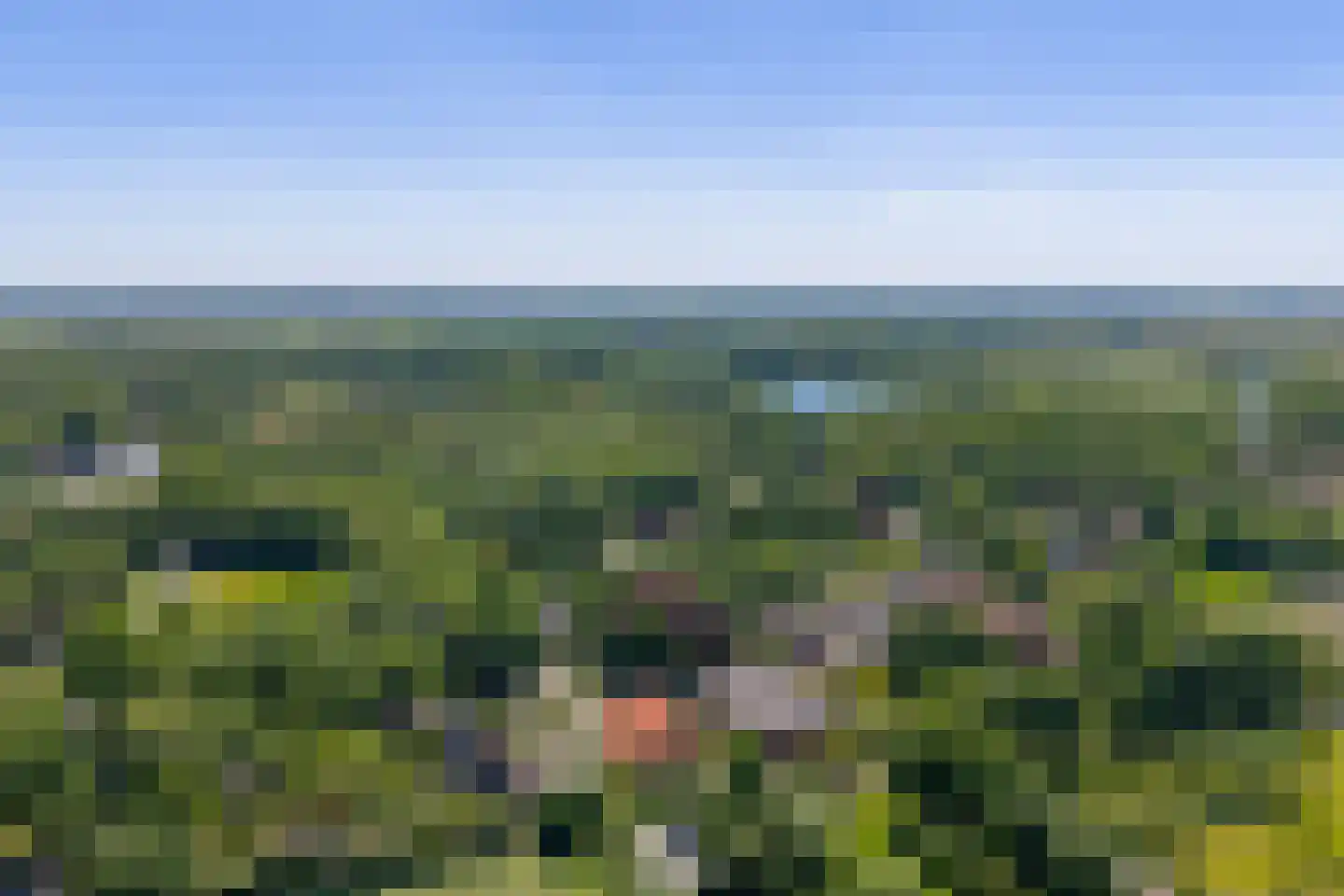 Hoofdweg Wedderveer 33 Wedde thumbnail 130