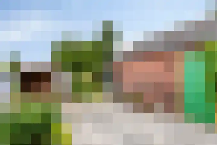 Hoofdweg Wedderveer 5 Wedde thumbnail 10