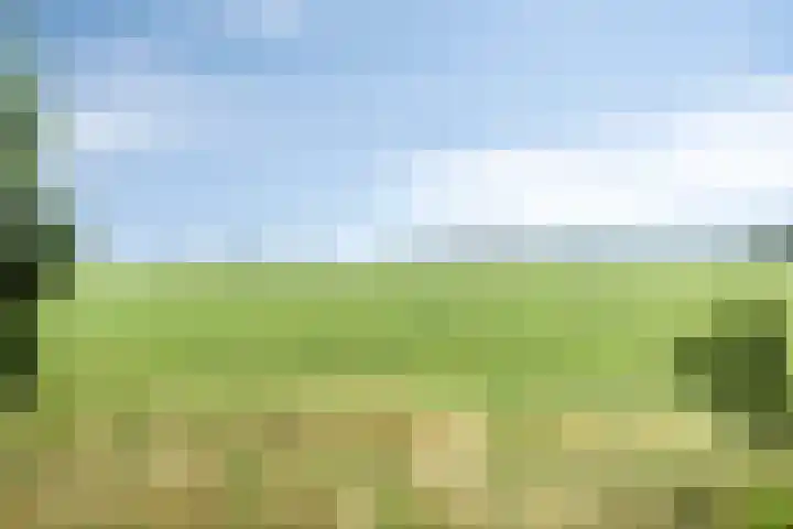Hoofdweg Wedderveer 5 Wedde thumbnail 11