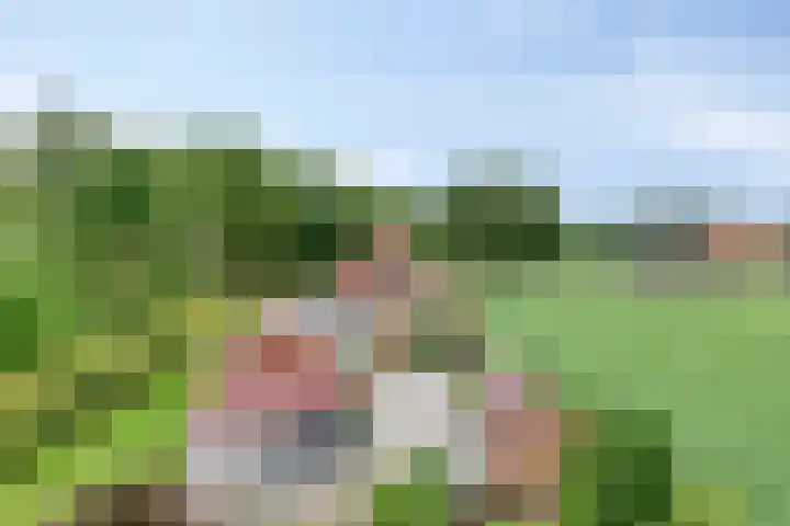 Hoofdweg Wedderveer 5 Wedde thumbnail 4