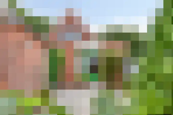 Hoofdweg Wedderveer 5 Wedde thumbnail 6