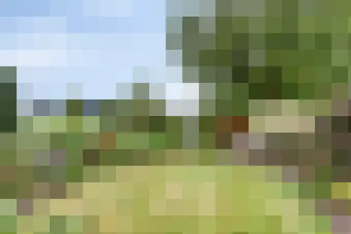 Hoofdweg Wedderveer 5 Wedde thumbnail 7