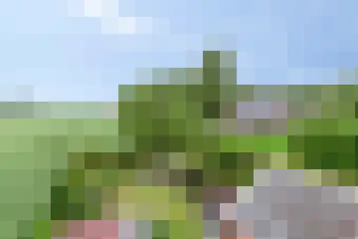 Hoofdweg Wedderveer 5 Wedde thumbnail 8