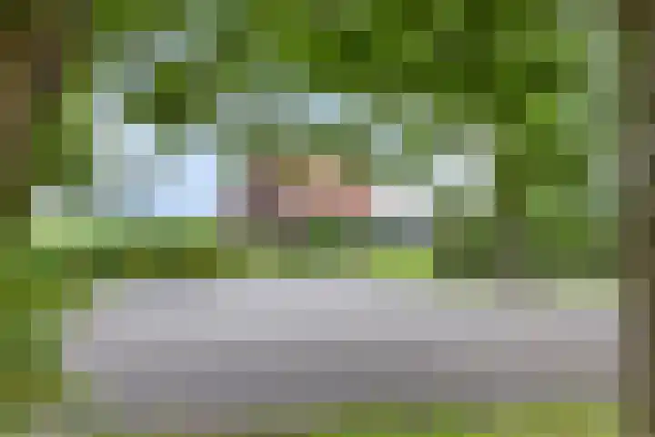 Hoofdweg Wedderveer 5 Wedde thumbnail 9