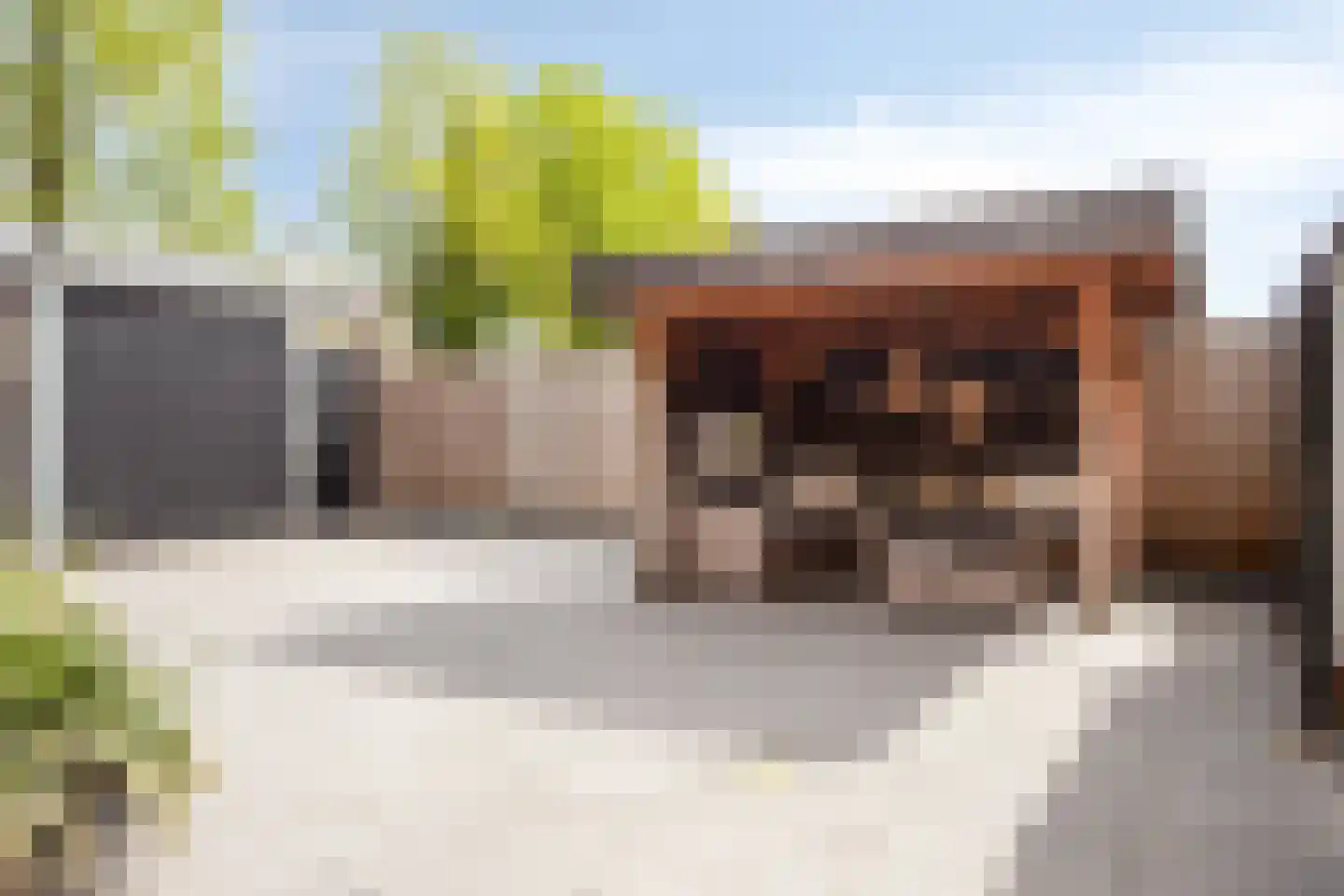 Hoofdweg-Zuid 10 Nieuwerkerk aan den IJssel thumbnail 28