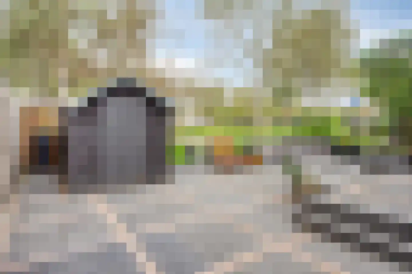 Hoofdweg-Zuid 10 Nieuwerkerk aan den IJssel thumbnail 34