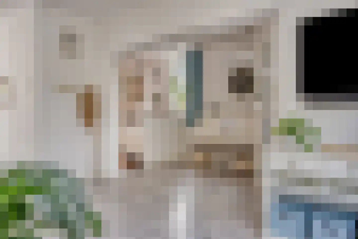 Hoofdweg-Zuid 10 Nieuwerkerk aan den IJssel thumbnail 9